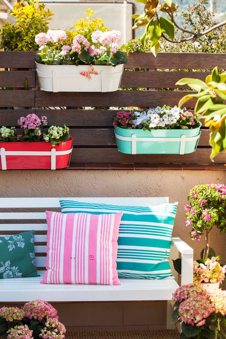 plantas-colgantes-00406508