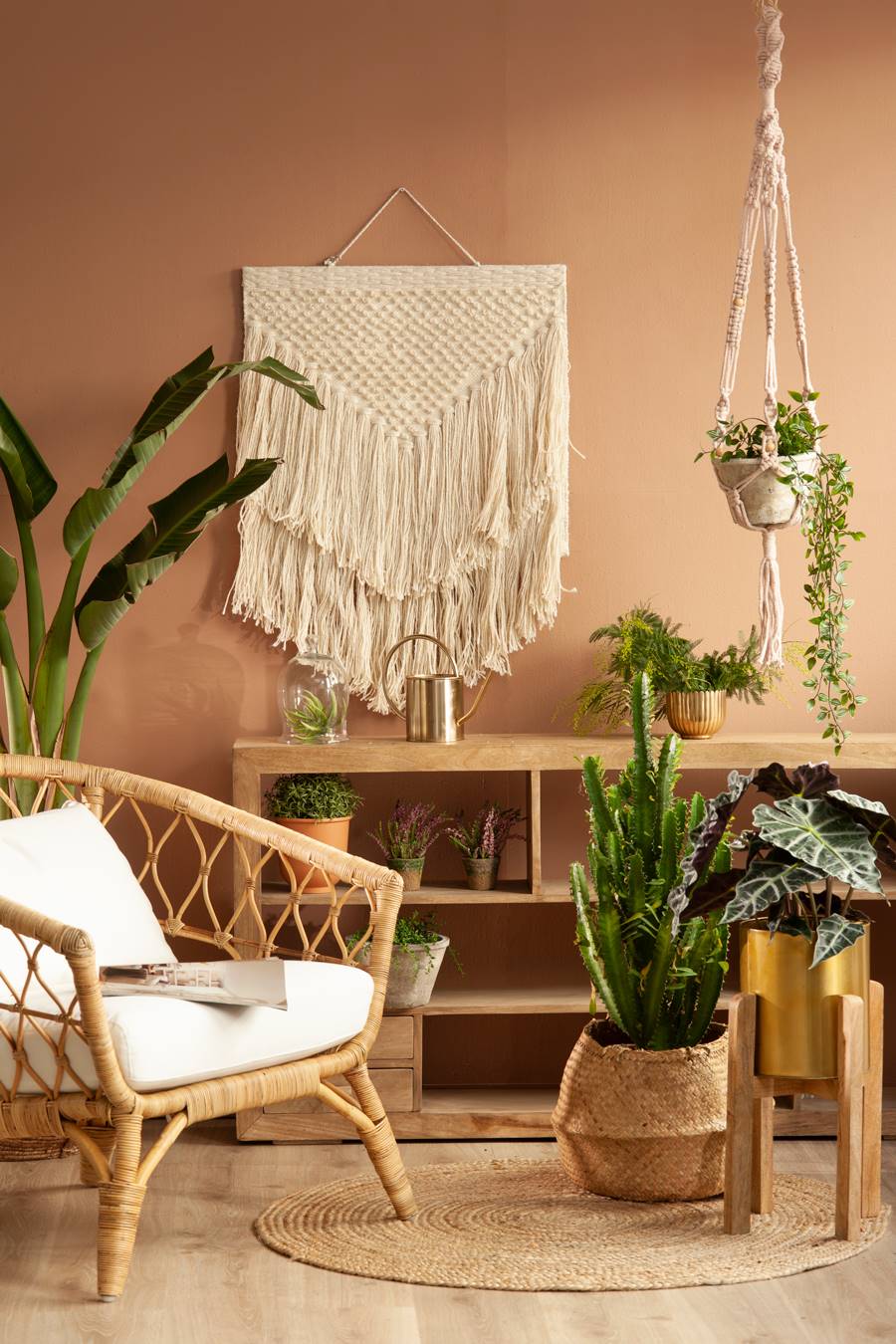 plantas-colgantes-interior-00506943 O