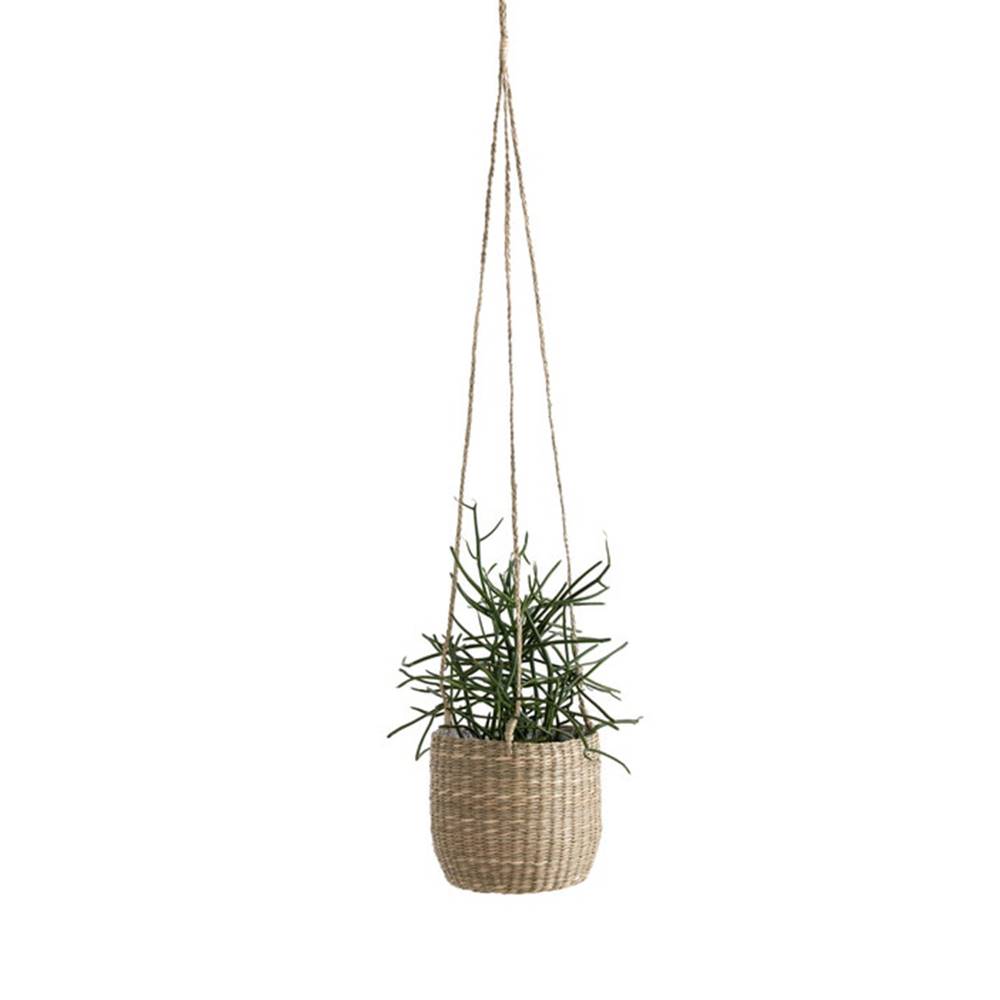 plantas-colgantes-macetero-la-redoute