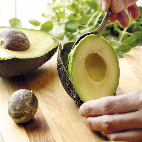 Cómo plantar un aguacate paso a paso