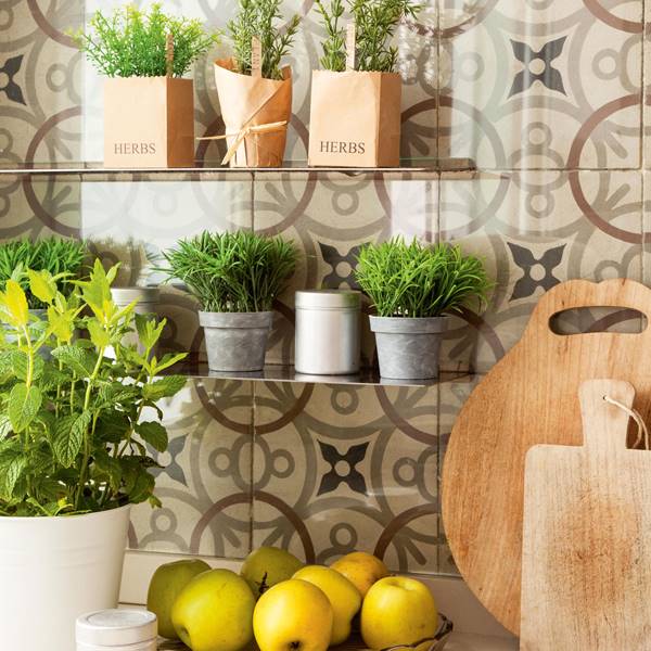 Estas son las plantas de interior más FÁCILES de cultivar dentro de casa: ¿las tienes todas?