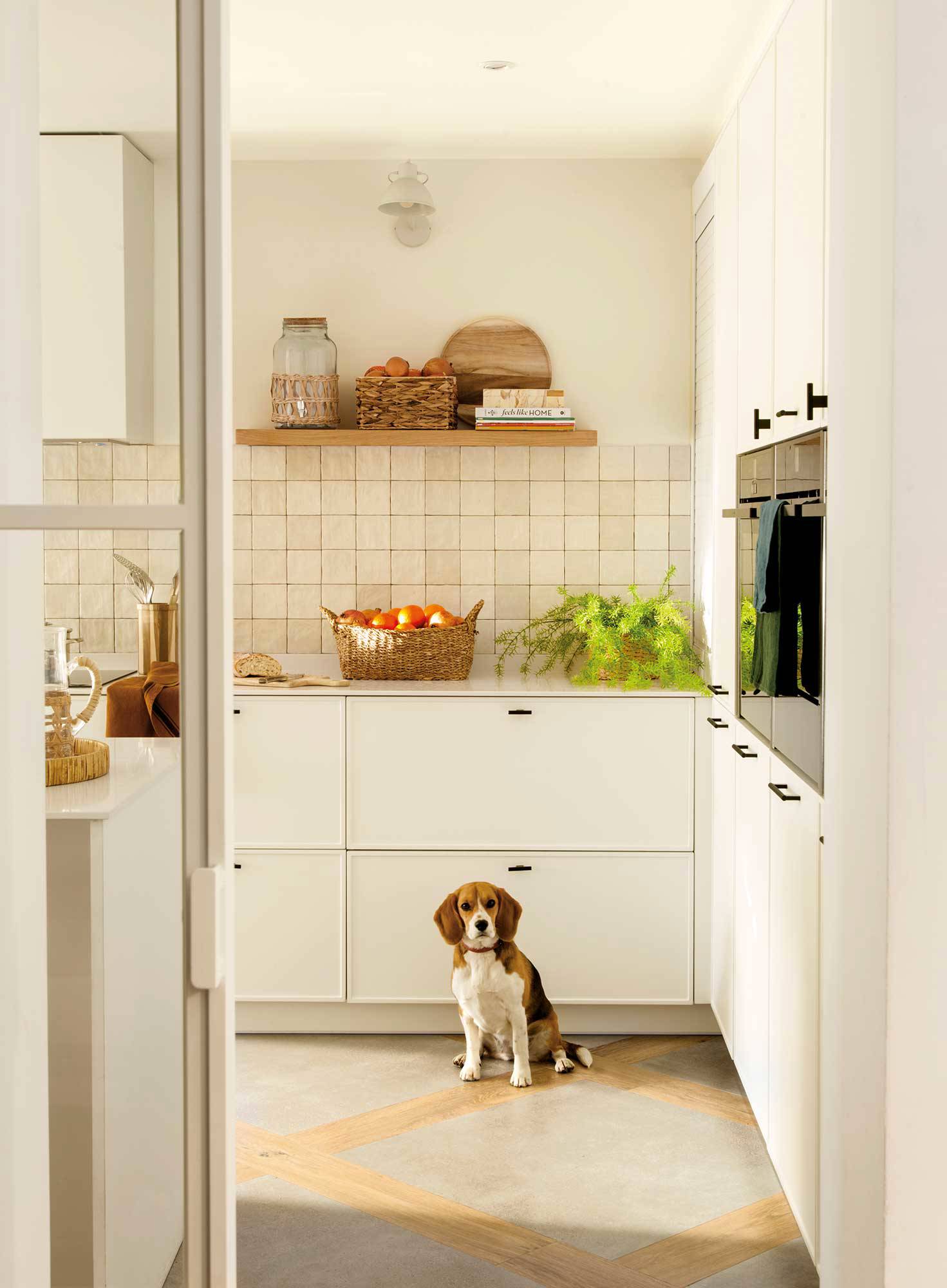 Cocina blanca con perro.