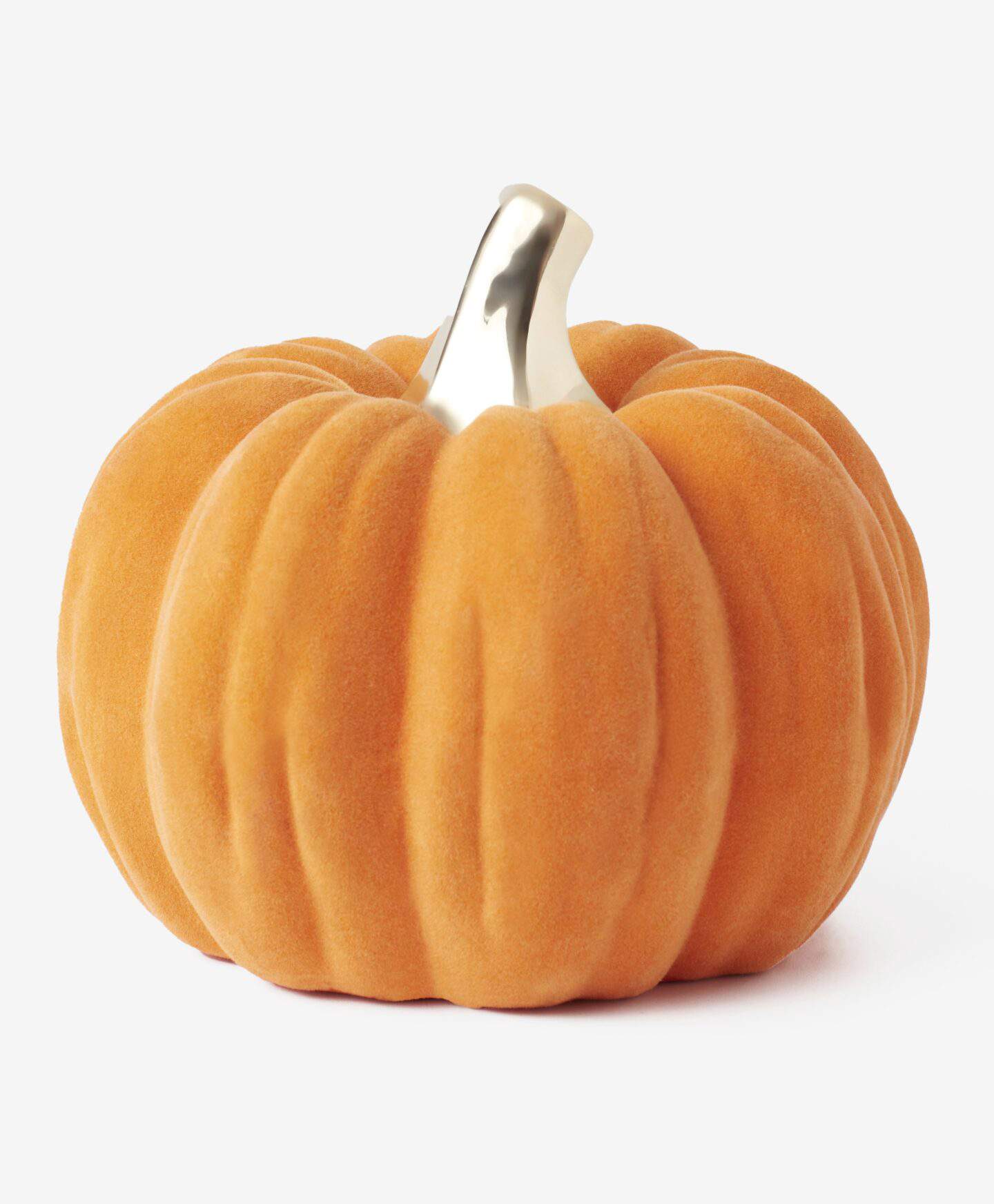 Calabaza decorativa
