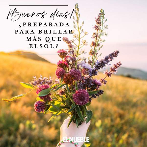 310 frases bonitas de buenos días para empezar la mañana con alegría y con amor 